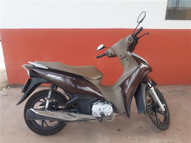 BIZ 125 2021/2022