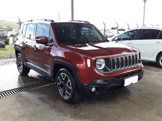 RENEGADE LNGTD AT 2019